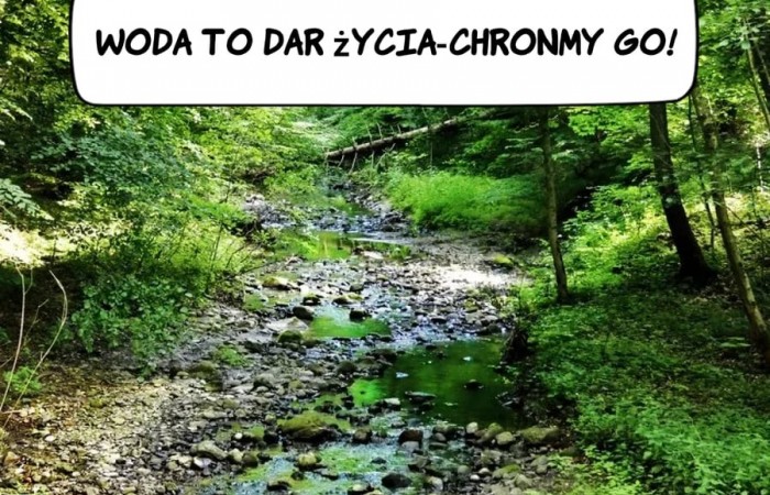 243195456_390641432552232_4269199121586848746_n (1)