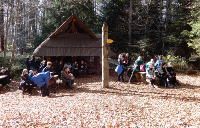 MicrosoftTeams-image (43)