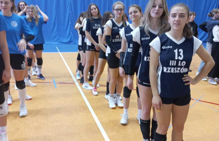 MicrosoftTeams-image (74)