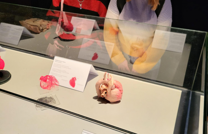 MicrosoftTeams-image (84)