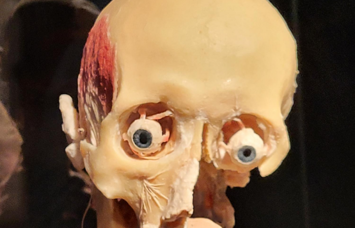 MicrosoftTeams-image (90)