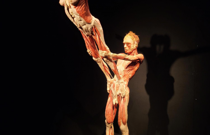 MicrosoftTeams-image (93)