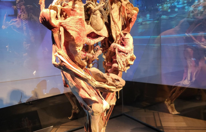 MicrosoftTeams-image (95)