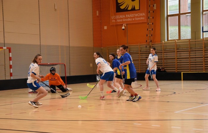 MicrosoftTeams-image (9)