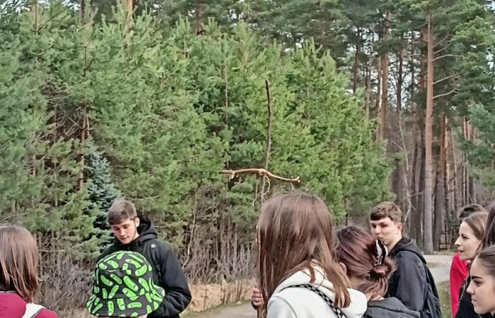 MicrosoftTeams-image (94)