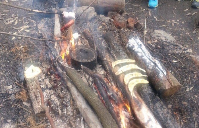 14808121_10210881003767089_1494948733_o