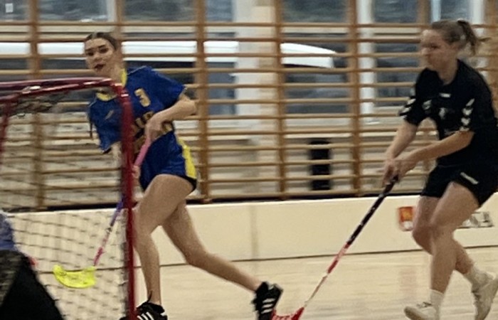 tmp_6b450739-2053-464a-98c5-da197e094a63